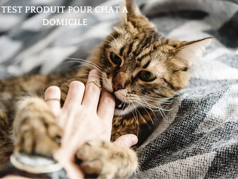 Stephenson Etudes Test produit pour chat consommateur panel dédommagé France Online