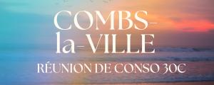 Reunions de conso dédommagées Combs la Ville Stephenson Etudes