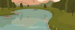 France Réunion sur la pêche 60 euros